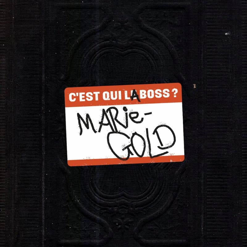 C'est qui la boss ? (Radio Edit)